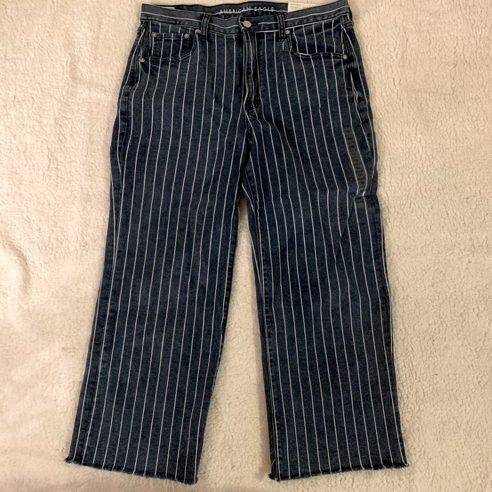 American Eagle Wide Leg Crop